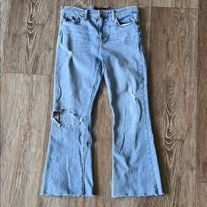 Hudson Jeans Blue Flare Wide Leg Distressed Denim